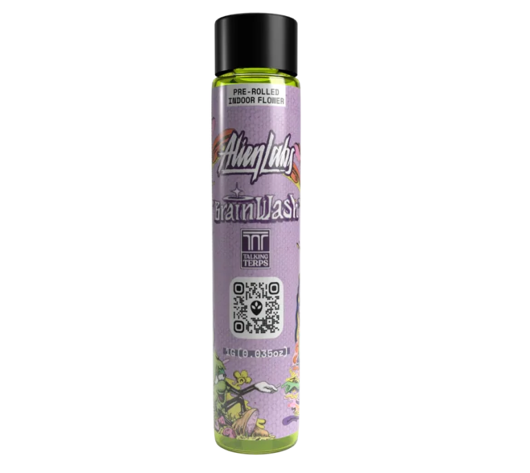 Brain Wash Pre Roll