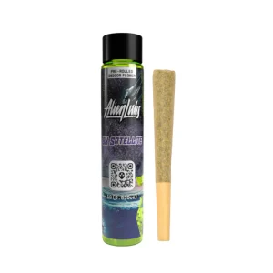 BK Satellite Pre Roll